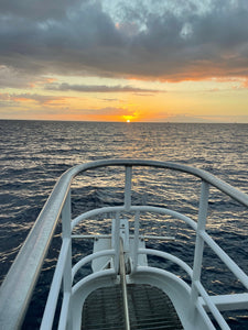 Pride of Maui