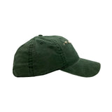 Hawaiian Islands 3D Dad Hat