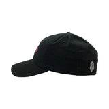 Hawaiian Islands Dad Hat (LTD)
