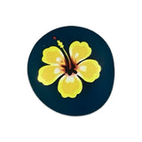 Glass Magnets