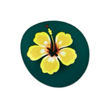 Glass Magnets