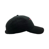 Hawaiian Islands Dad Hat (LTD)