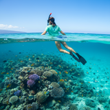 "Be Maui" Honu Performance Ladies Short Sleeve Shirt