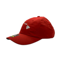 Hawaiian Islands Performance Hat