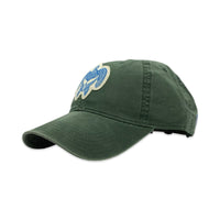 Honu Whale Tail Garment Dyed Hat