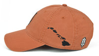 Hawaiian Hook Dad Hat