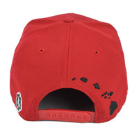 Hawaiian Hook 3D Flatbill Hat