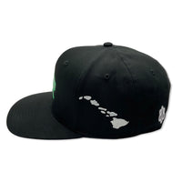 Tattoo Honu3 Slight Curve Hat